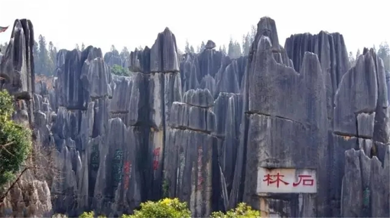 640.webp (16).jpg 640.webp (16).jpg